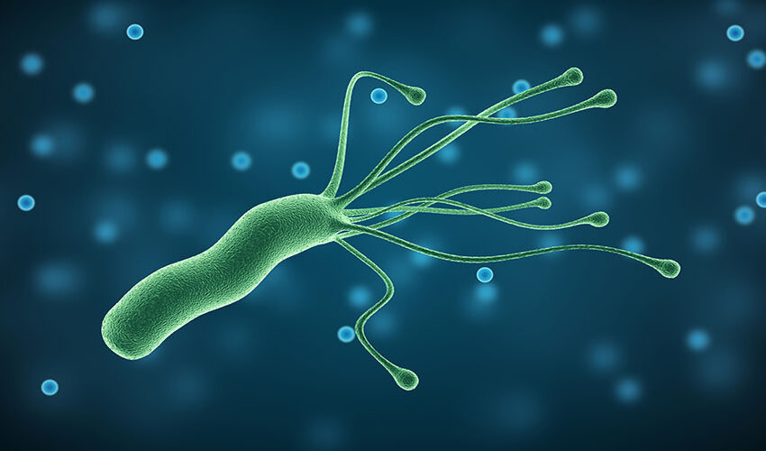 Helicobacter pylori, bacteria care pândește din apă sau alimentație